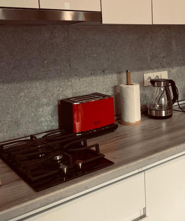 Kuchyň nebo kuchyňský kout v ubytování Kazbegi Stylish Apartment
