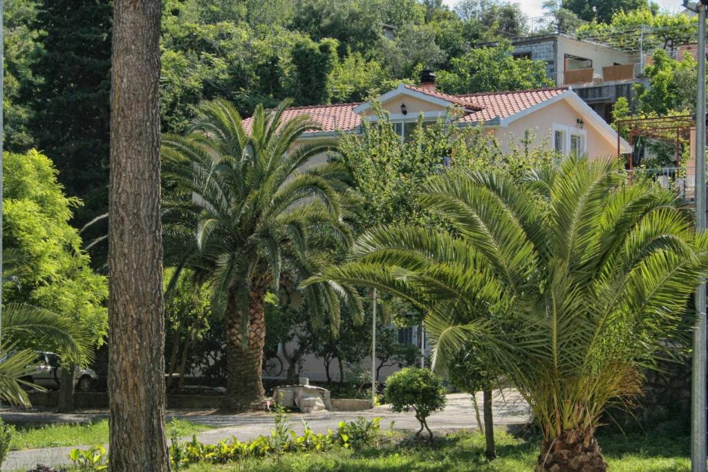 Zahrada ubytování Studio Trpanj 257c