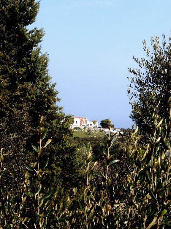 Zdjęcie z galerii obiektu Trullo Villa Giuliana con giardino Posizione panoramica Free wifi w mieście Ostuni