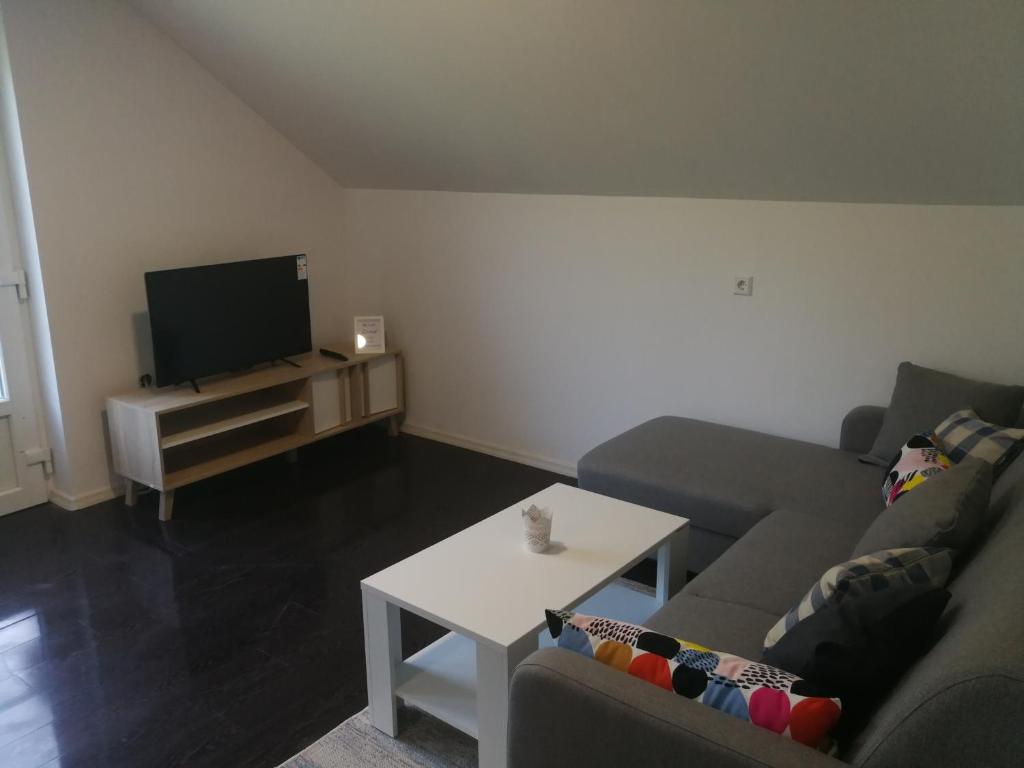 TV a/nebo společenská místnost v ubytování Apartment Smoljanac 12345b
