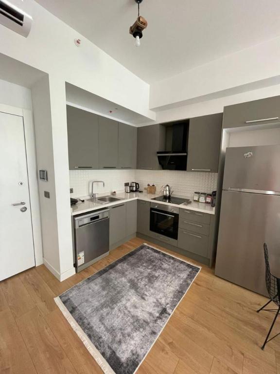 Apartment Flat with Shared Pool Sauna and Gym in Kadikoy, Istanbul