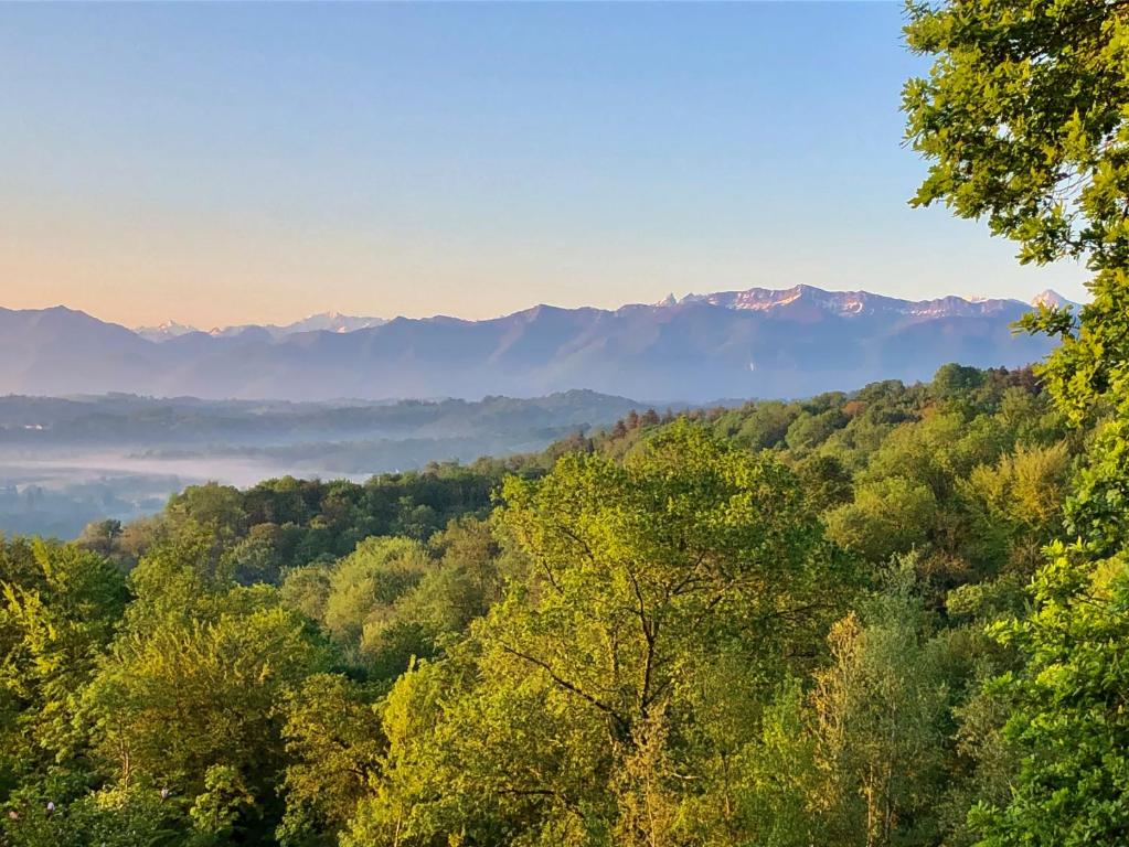 La cabane des coteaux - One-Bedroom House