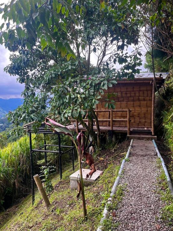 Giardino di Hakuna Matata Glamping timon