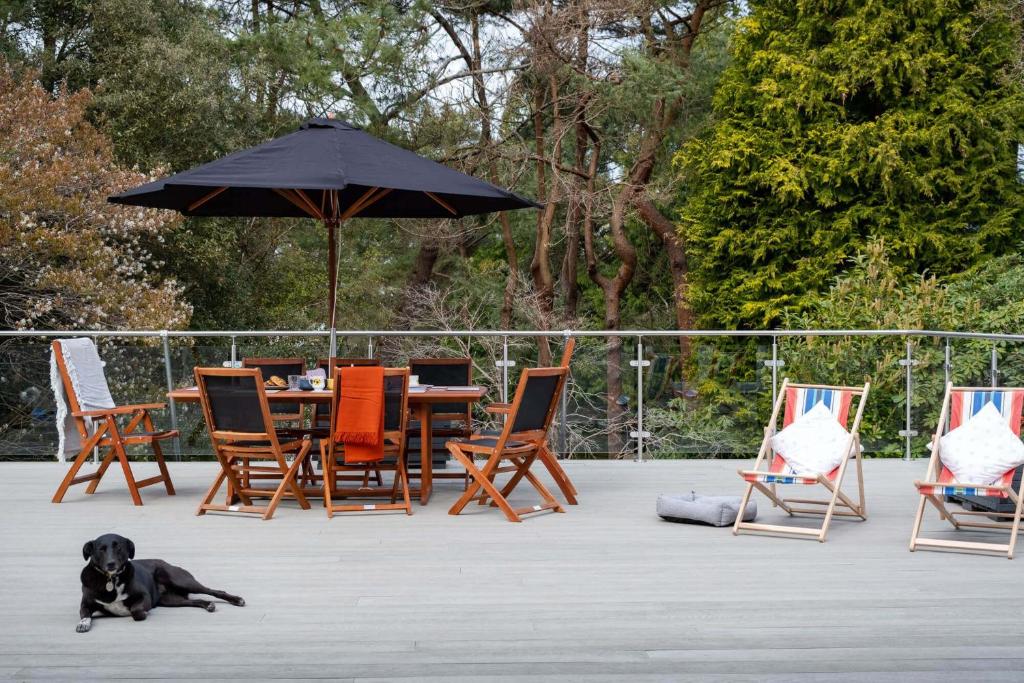 リングウッドにあるTree Top Houseの黒犬