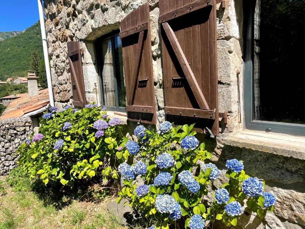 Zahrada ubytování Gîte des Sausses dans une nature préservée Burzet
