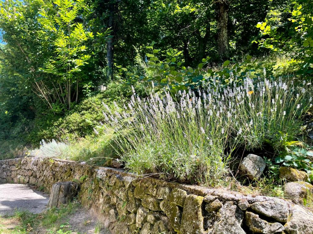 Zahrada ubytování Gîte des Sausses dans une nature préservée Burzet