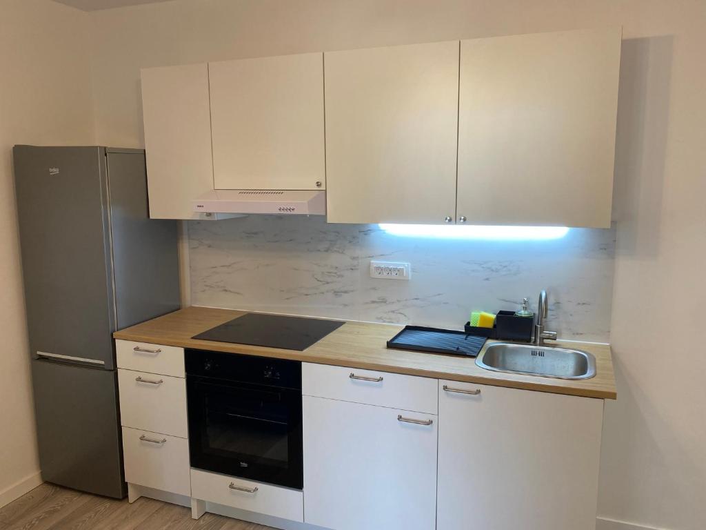 Kuchyň nebo kuchyňský kout v ubytování Apartments Ena