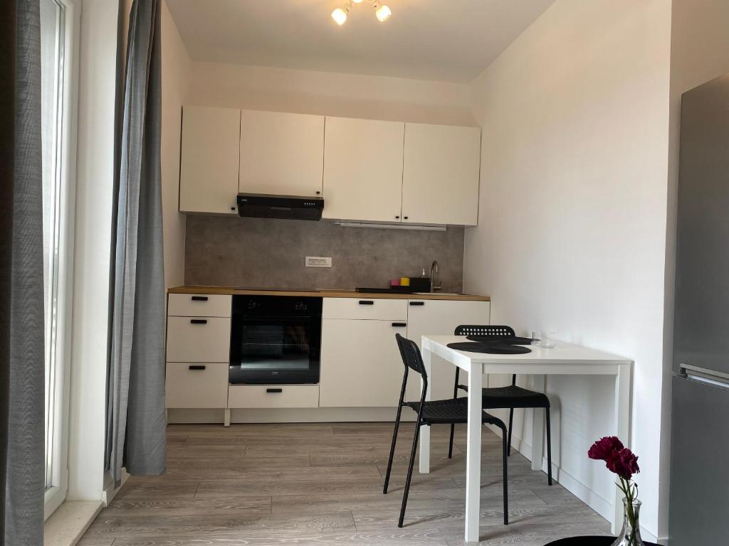 Kuchyň nebo kuchyňský kout v ubytování Apartments Ena