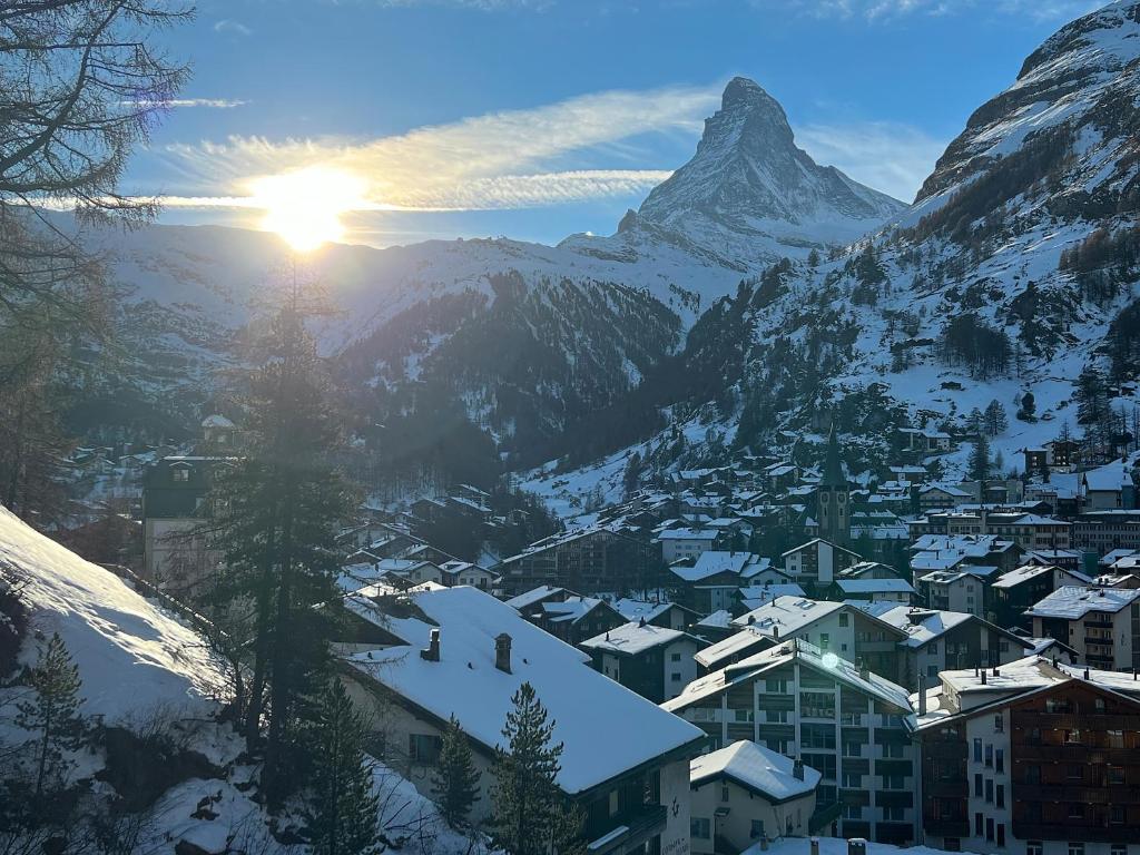 Oasis-Zermatt
