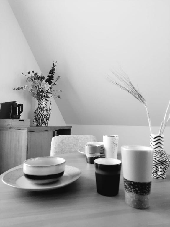 Fotografie z fotogalerie ubytování Slufterhoeve v destinaci De Cocksdorp