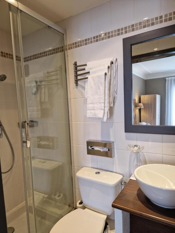 a bathroom with a toilet and a sink and a shower at Hôtel La Villa Tosca in Cannes
