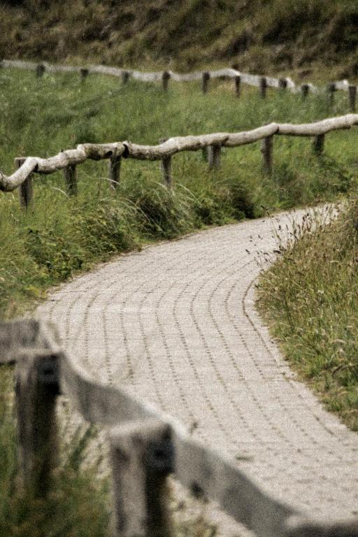 Fotografie z fotogalerie ubytování Slufterhoeve v destinaci De Cocksdorp