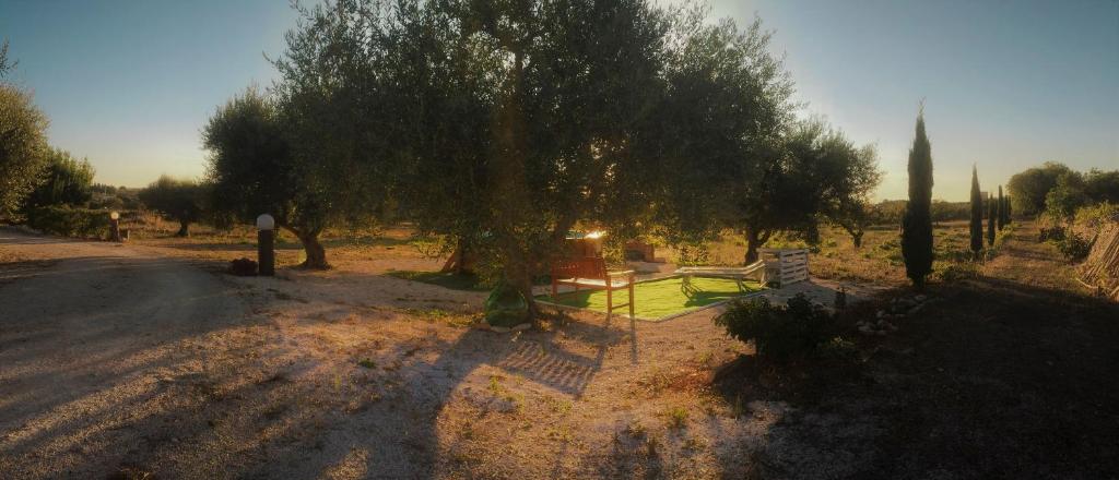 Fotografia z galérie ubytovania La Chianca Ritrovata - trulli in valle d'Itria v destinácii Martina Franca