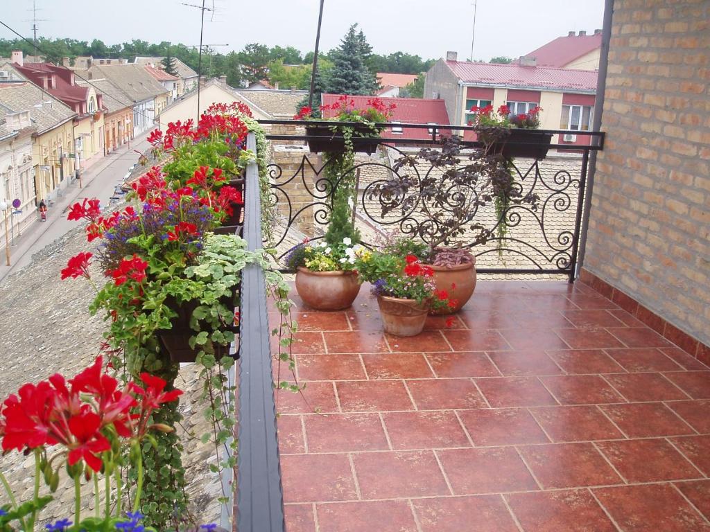 Svalir eða verönd á Guest House Prenoćište Piccolina