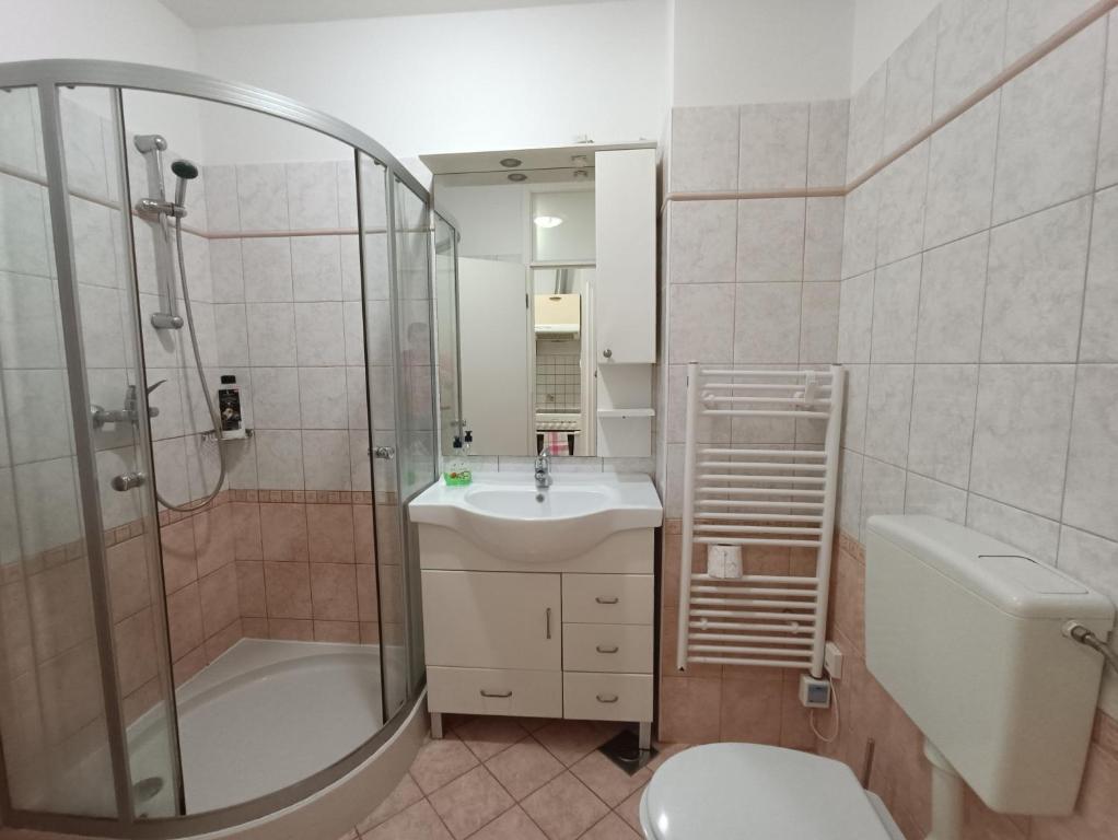 Koupelna v ubytování Apartment Riba