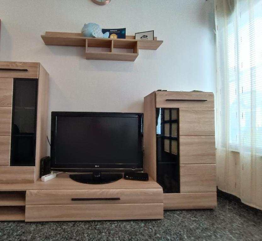 TV a/nebo společenská místnost v ubytování Apartment Riba
