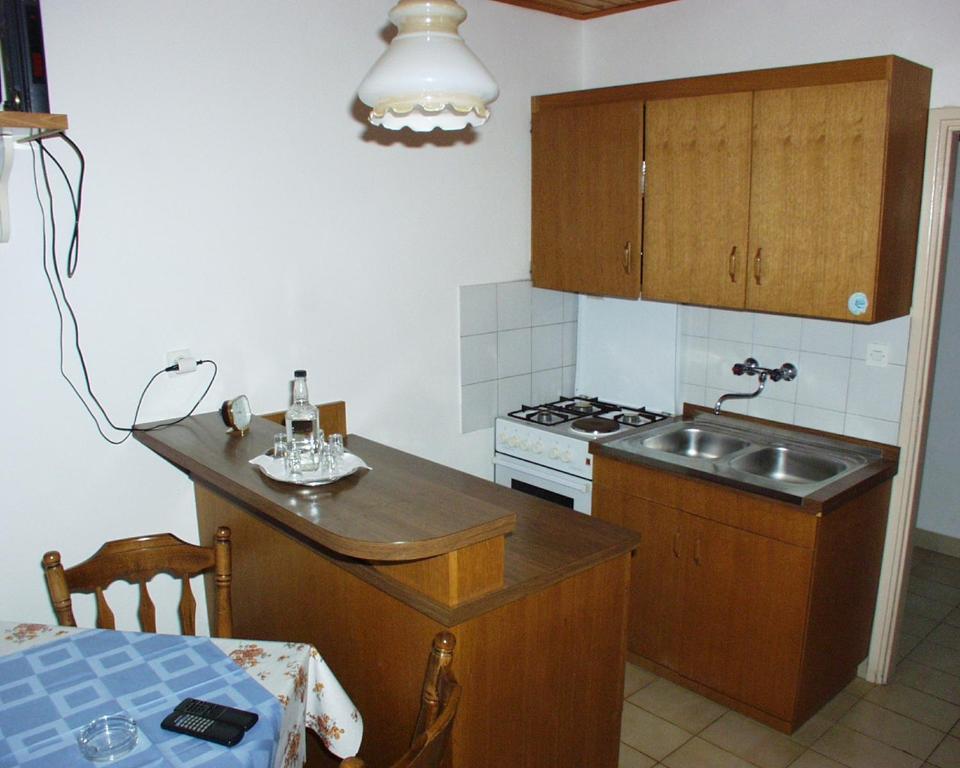 Kuchyň nebo kuchyňský kout v ubytování Apartments by the sea Sali, Dugi otok - 454