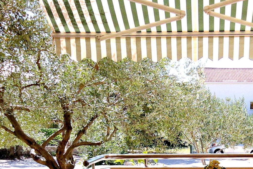 Zahrada ubytování Apartments by the sea Zaboric, Sibenik - 468