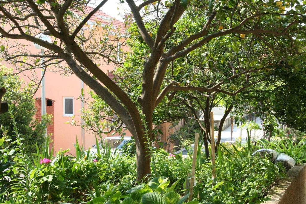 Vonkajšia záhrada v ubytovaní Apartment Podgora 518d