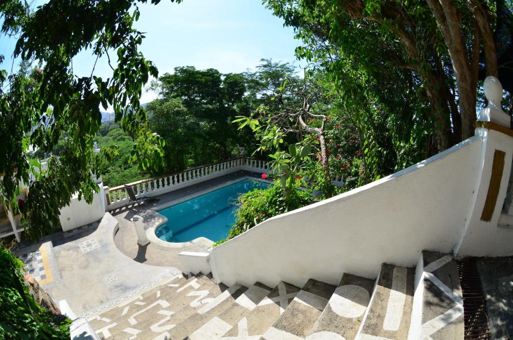 una piscina junto a unas escaleras y árboles en Jardin Etnobotanico Villa Ludovica, en Santa Marta
