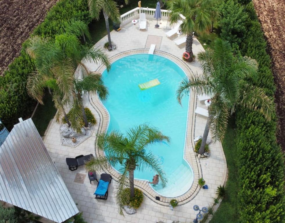 an overhead view of a swimming pool with palm trees at Modica Blu Oceano in Modica