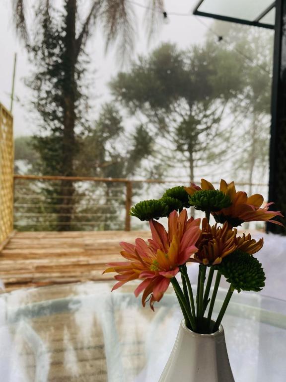 Imagen de la galería de Toca do Pica-Pau - Tiny House em Campos com Lareira e privacidade!, en Campos do Jordão