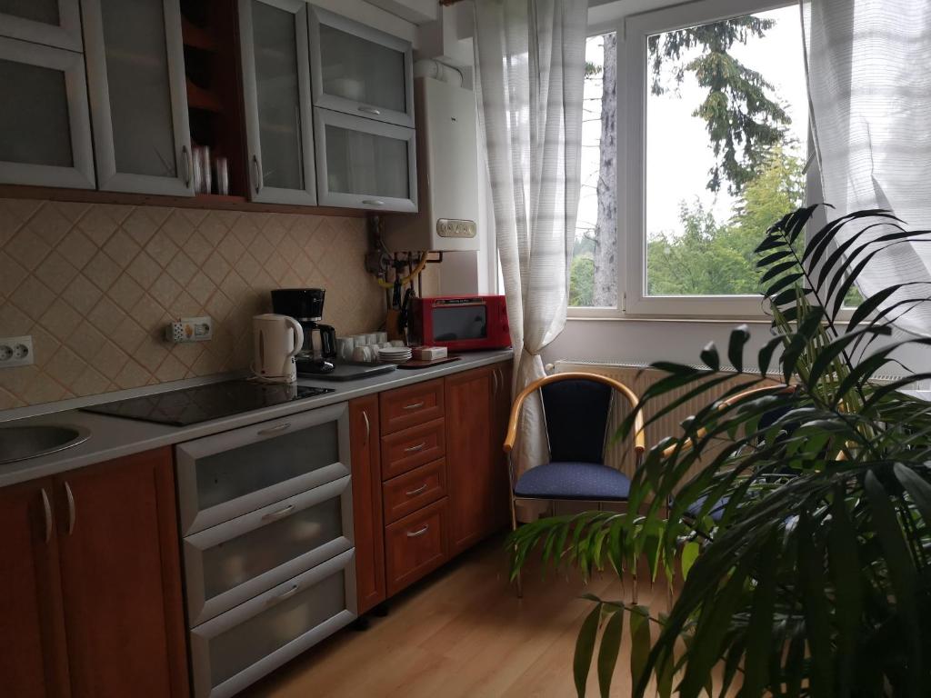 Gallery image of Apartament Ana Poiana Brasov in Poiana Brasov