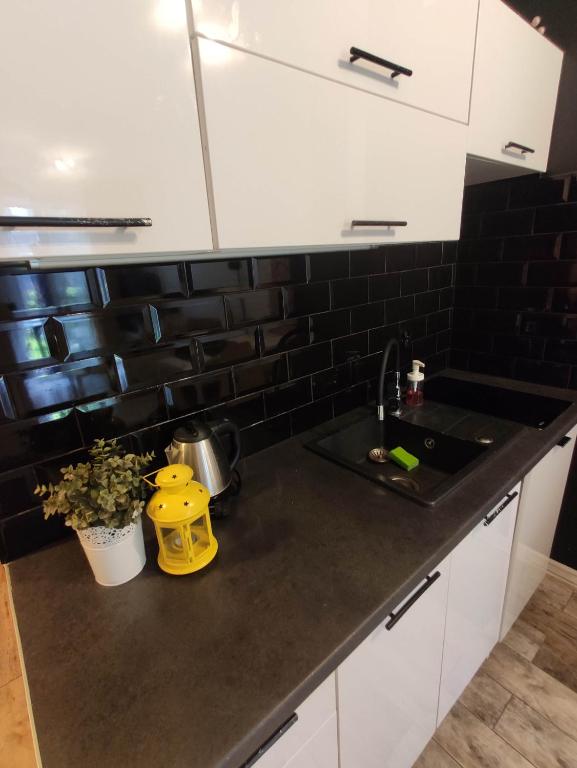 Kuchyňa alebo kuchynka v ubytovaní Black House