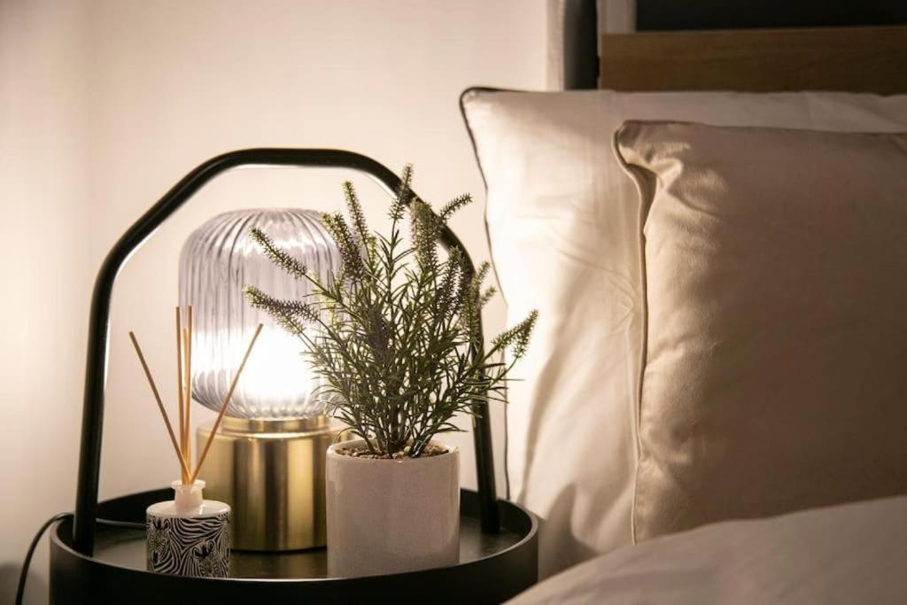 um candeeiro e uma planta num vaso numa mesa ao lado de uma cama em Fortunae Cosy City Centre Apartments em Sunderland