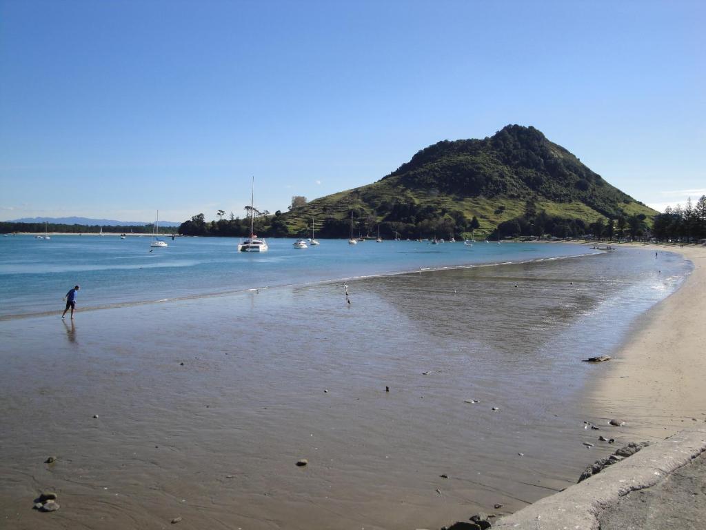 Aquarius Motor Inn - Resim 38