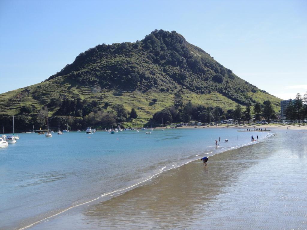 Aquarius Motor Inn - Resim 37