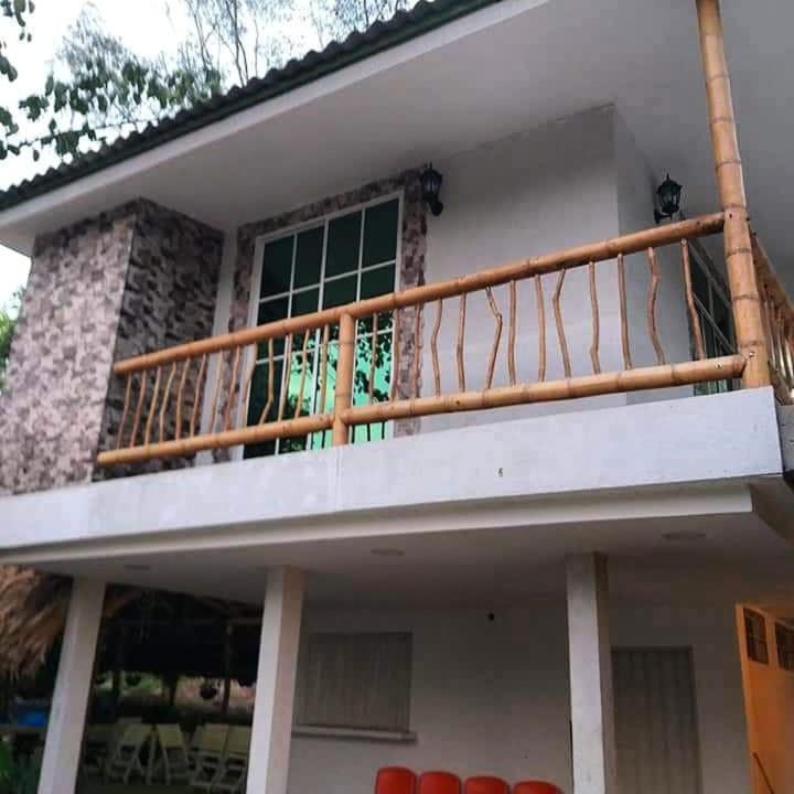 Samalandia campestre, Arimaca (updated prices 2024)