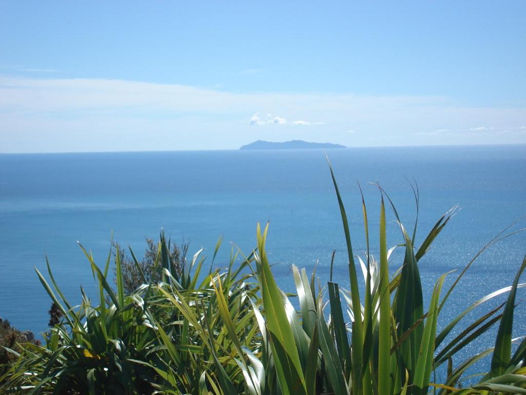 Aquarius Motor Inn - Resim 44