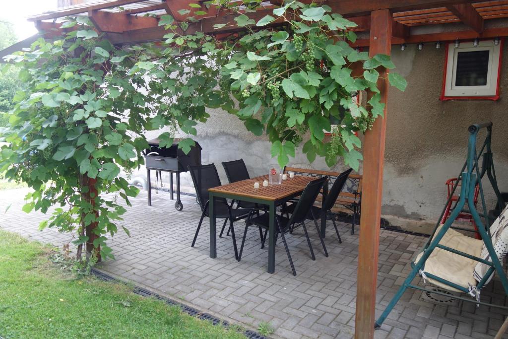 Zahrada ubytování Pod Chlumem - útulný byt v blízkosti centra