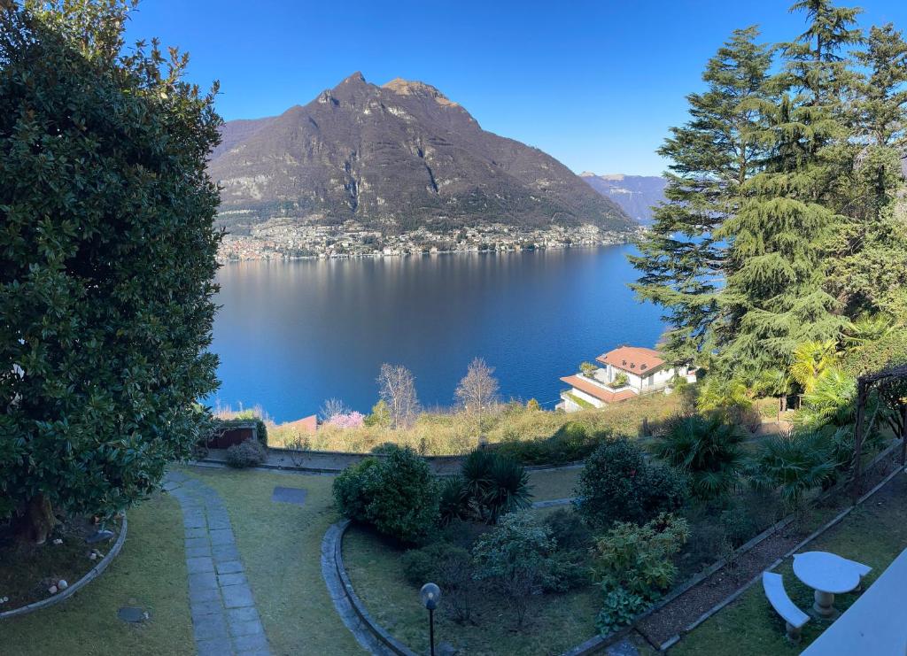 una vista de un lago con una montaña en el fondo en Lake Como Villa Ines Junior Apartment, en Faggeto Lario 