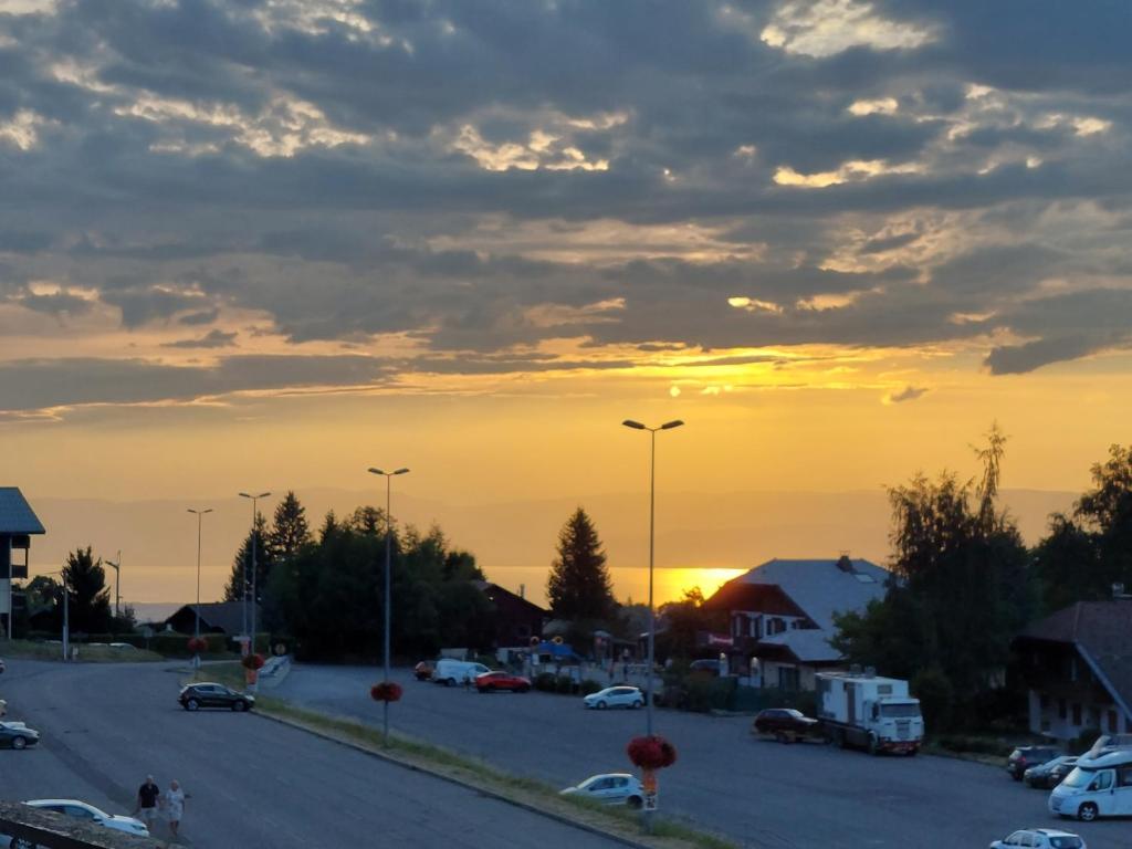 Przyroda w pobliżu tego apartamentu