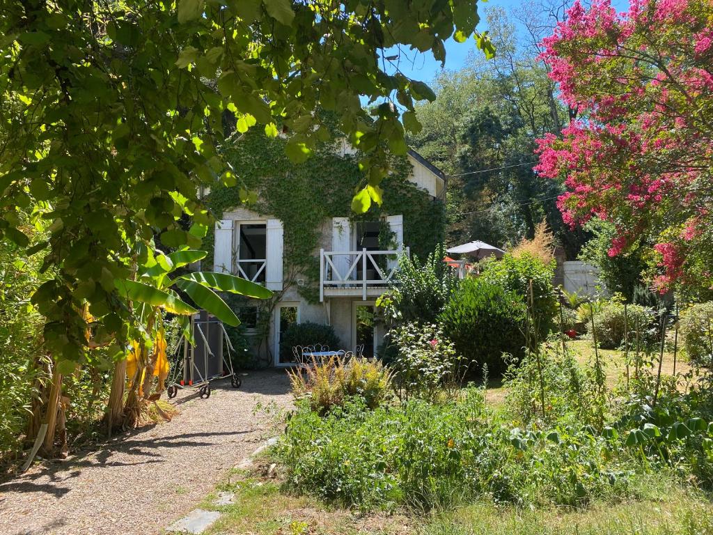 Chambre bananier: maison arborée face à la rivière - Housity