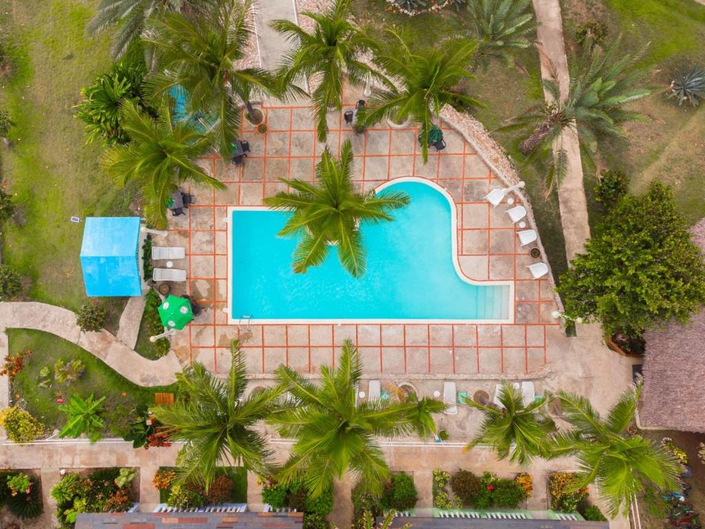 an overhead view of a swimming pool with palm trees at Hotel Playazul in Santa Cruz de Barahona