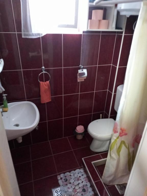 a bathroom with a toilet and a sink at Barázda Apartman in Berekfürdő