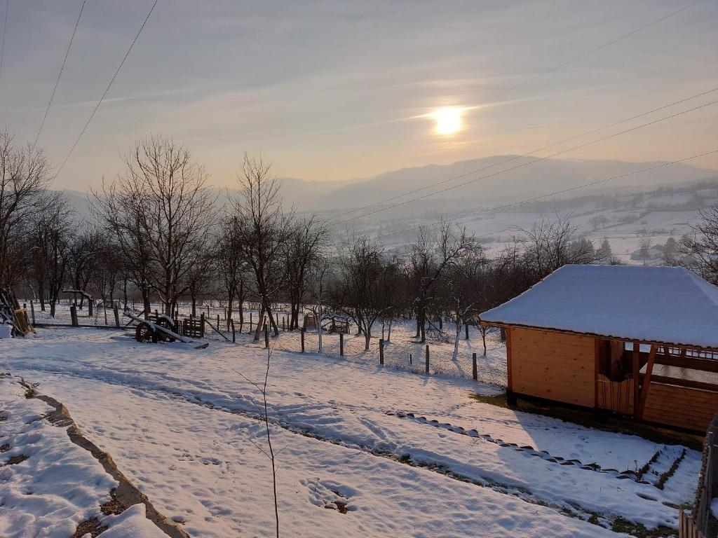 Seosko domaćinstvo Alababa v zimě
