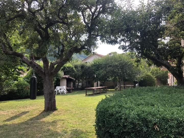 Zahrada ubytování Casa vacanze Daniela