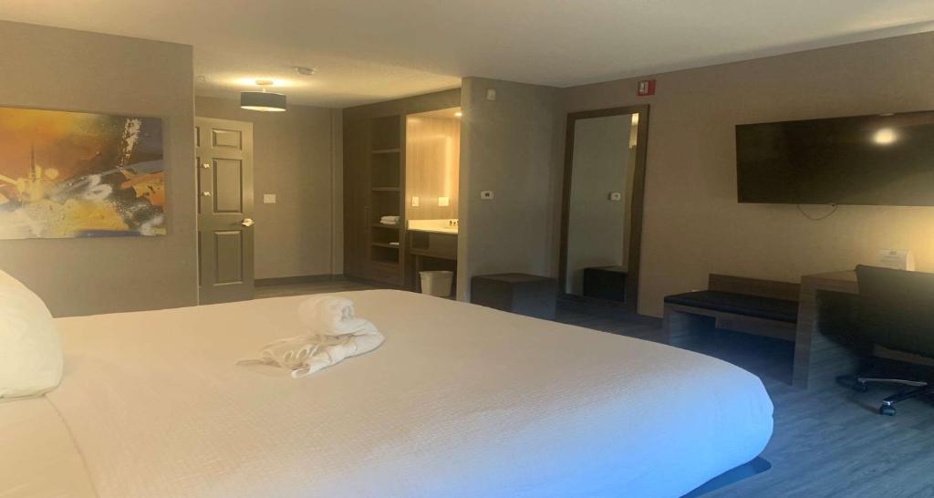 Postel nebo postele na pokoji v ubytování Best Western Plus West Edmonton