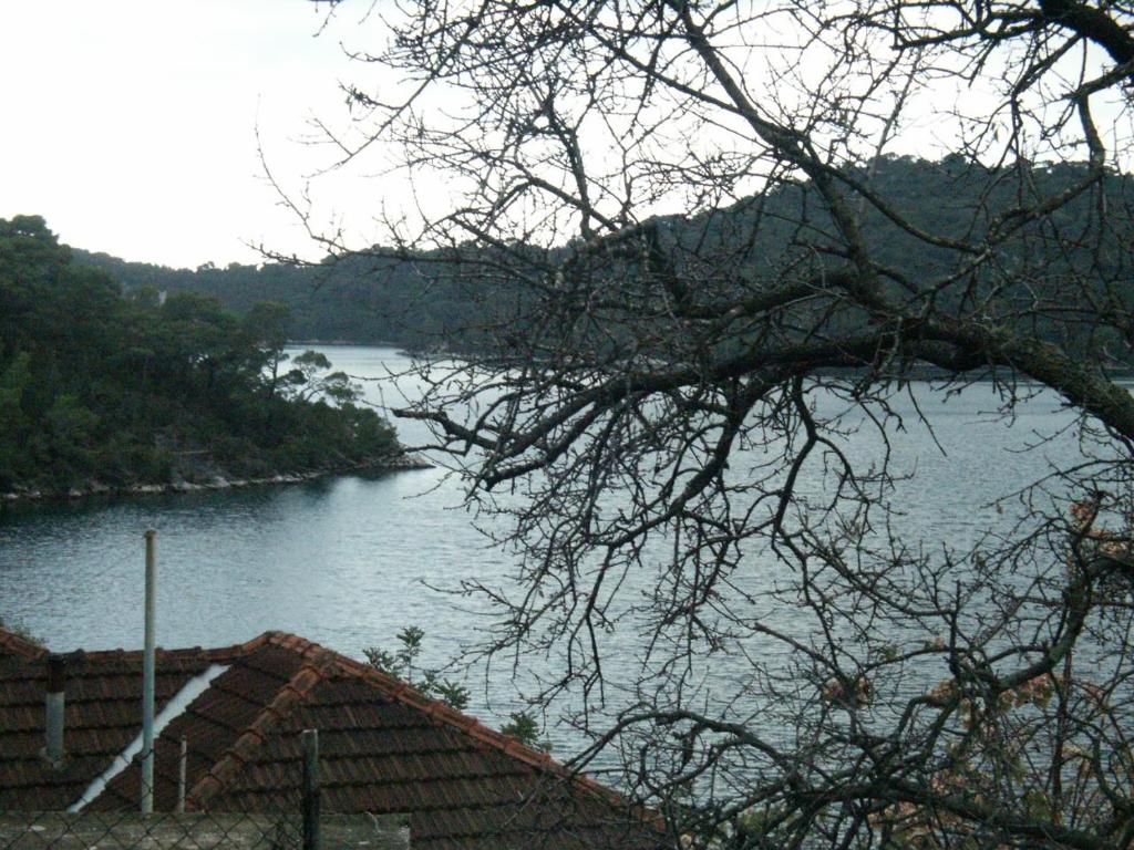 Fotografia z galérie ubytovania Apartments by the sea Babine Kuce, Mljet - 610 v destinácii Goveđari