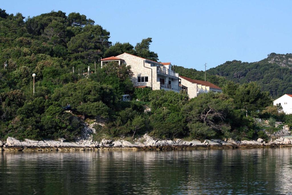 a house on top of a hill next to the water at Apartments by the sea Polace, Mljet - 613 in Polače