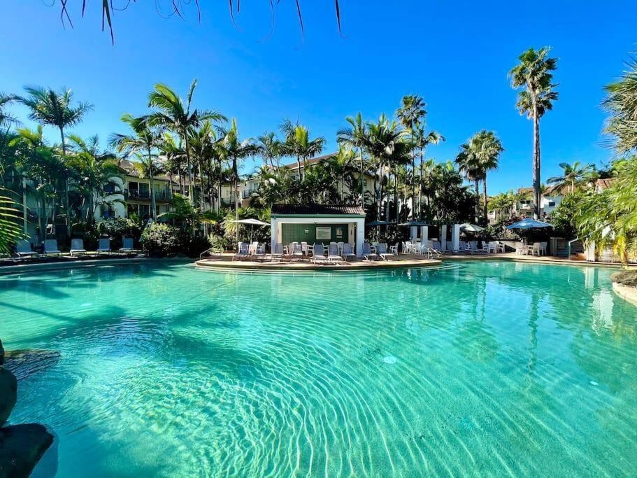 a large swimming pool with blue water and palm trees at Grande Florida Resort 66 in Gold Coast