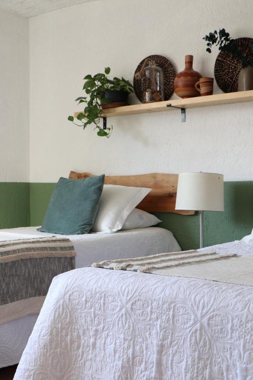 a bedroom with two beds and a shelf with plants at CASA MADERA in Lagos de Moreno