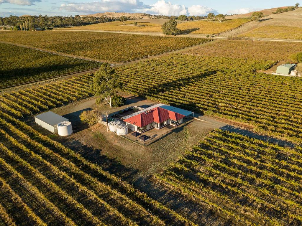 une vue aérienne sur une ferme avec une grange dans un champ dans l'établissement McGill Vineyard Barossa, à Lights Pass