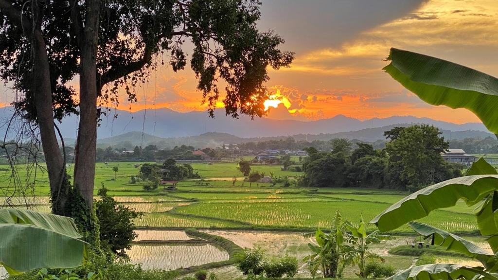 een zonsondergang boven een rijstveld met zonsondergang bij Nan Seasons Boutique Resort in Nan