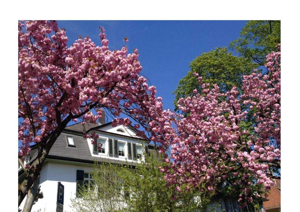 Zahrada ubytování Villa Peony