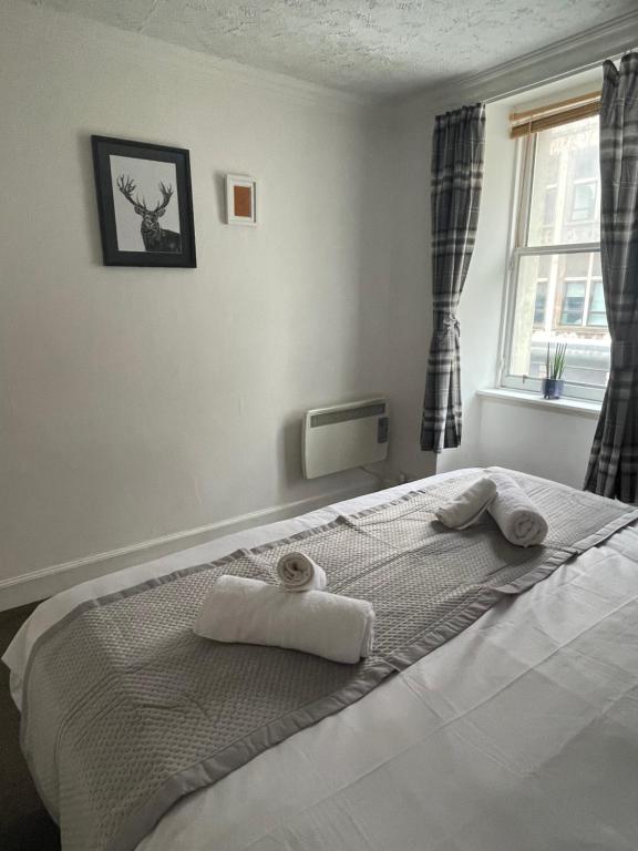 1 BR Apartment in old town (Nicolson Street)